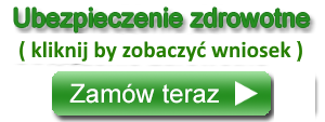 firma w Niemczech